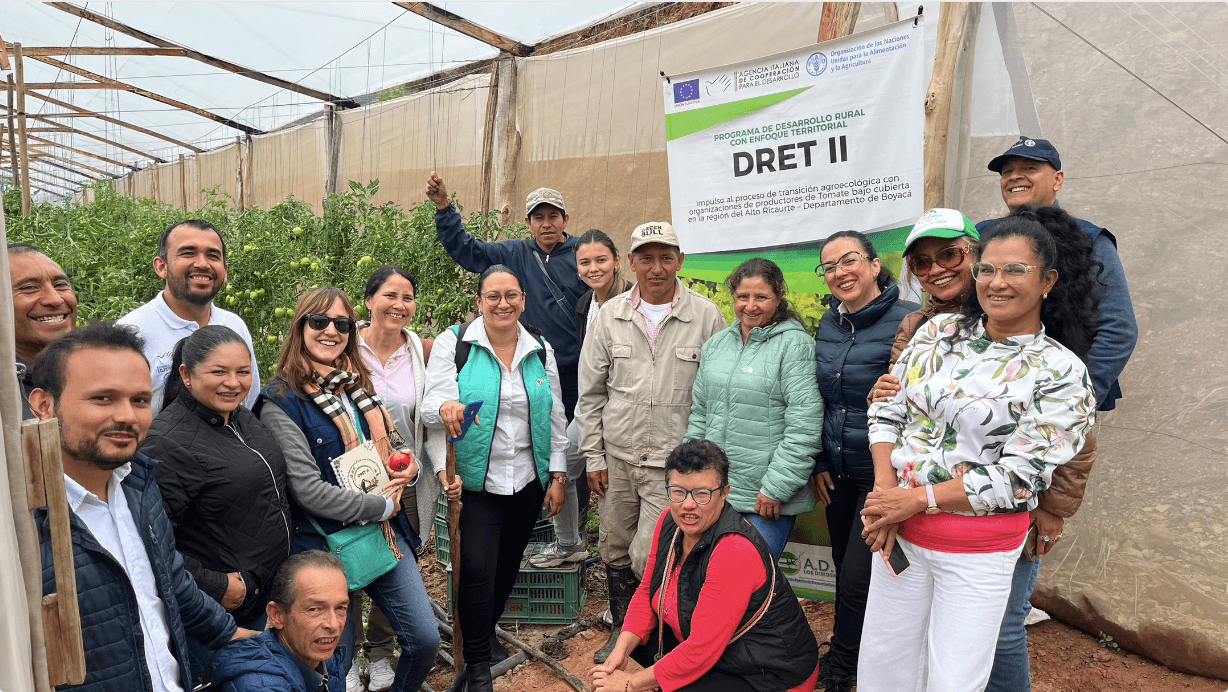 Resumen de programa piloto:  transición agroecológica